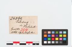 Etiketten zu Bronzegürtelhaken (NHMW-PRAE-024869)